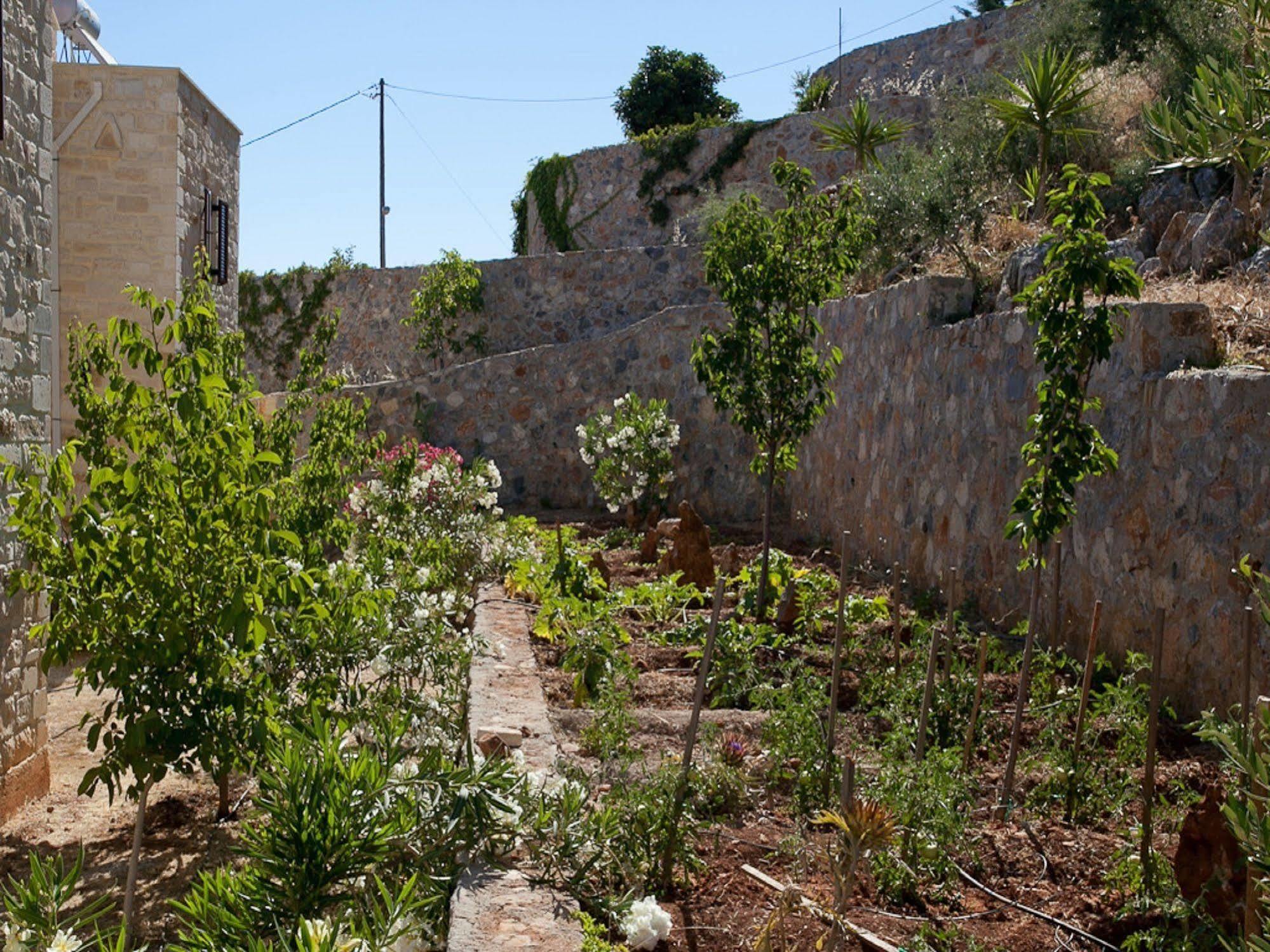 Villa Apollo - Saint George'S Retreat Village Kokkino Chorio Zewnętrze zdjęcie